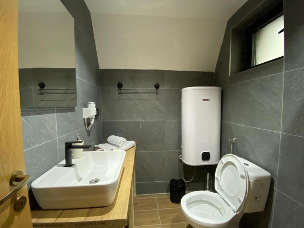 Dandelion House Villa Zabljak  Ngoại thất bức ảnh
